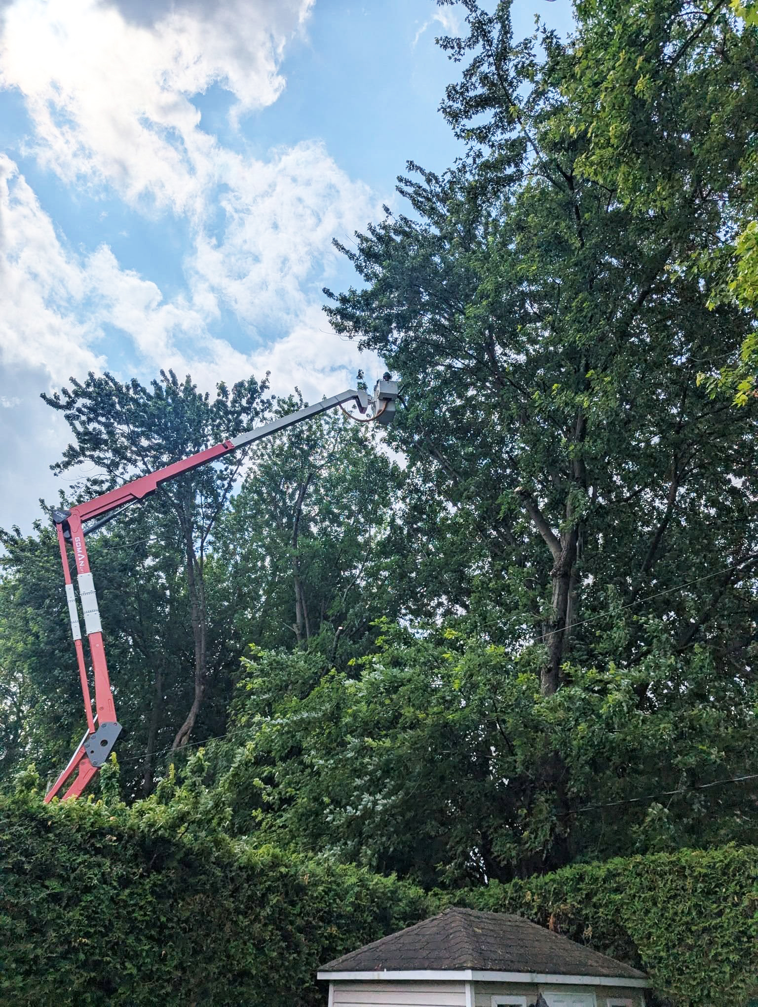 Goman Insulated Spider Lift X23E: A Powerful Tool for Solving The Tree-Line Conflict
