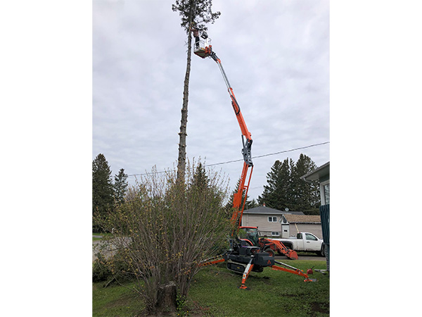 Spider Lift Application